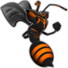 Wild 4 Sports