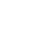 Team Spirit Academy