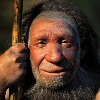 HumanApexPredator