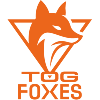 TeamOrangeGaming Academy