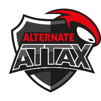 Team ALTERNATE