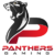 PANTHERS Gaming