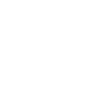 SK Gaming (Light)