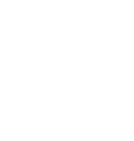 Wizard esports (Light)