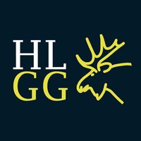 HelgeGaming Origins