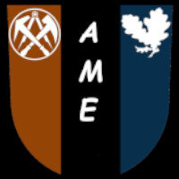 ArMa Esports Flex