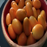 Kumquat Gaming