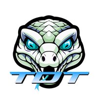 Team Delta TV