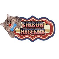 Circus Kittens