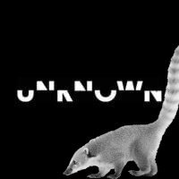Known Unknown Nasenbären