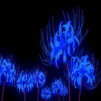Lycoris Blue