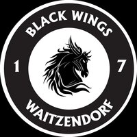 Black Wings