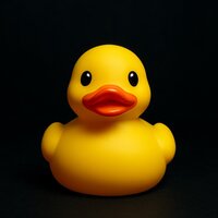 Ducks