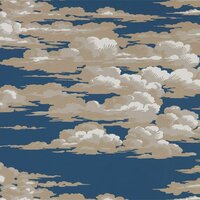 Cloud Chaser