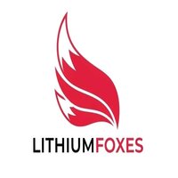 LithiumFoxes