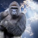 Big Brain Monke