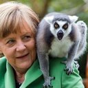 Lemurensohn
