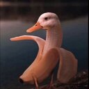 Parry the platypus