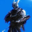 Fallen Paladin