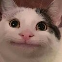 Butterlauch